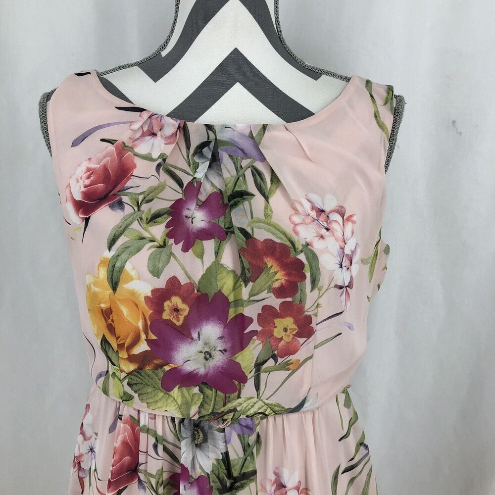 CB Established 1962 Pink Floral Chiffon Sleeveless Gathered Waist Dress 6 Petite
